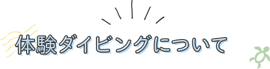 体験ダイビングについて