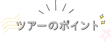 ツアーのポイント