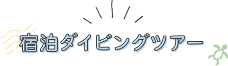 宿泊ダイビングツアー